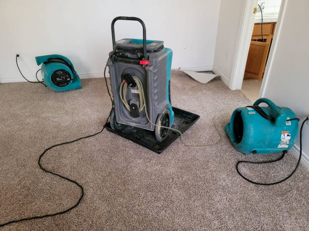 Best Water damage restoration cost  in Mangum, OK
