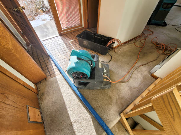 Best Carpet water damage restoration  in Mangum, OK