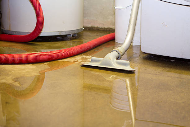 Best Water damage restoration near me  in Mangum, OK