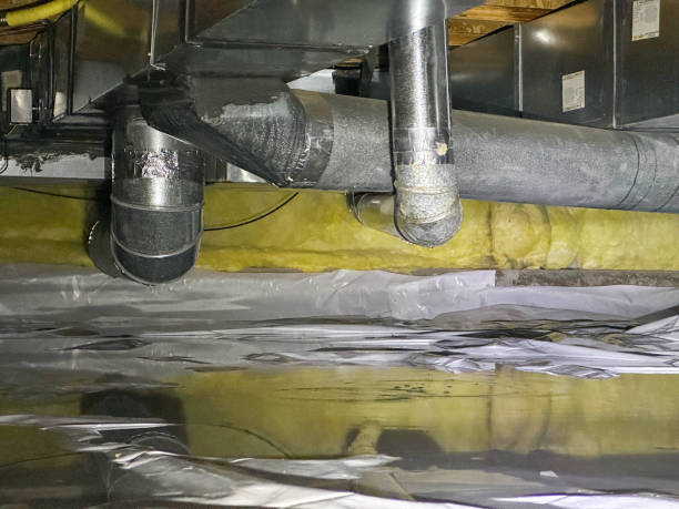 Best Mold removal after water damage  in Mangum, OK