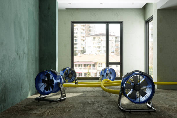 Best Sewage cleanup and water damage restoration  in Mangum, OK